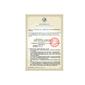 国际顶级域名证书